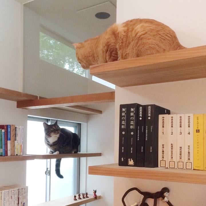 Bb709c09 b411 4f21 9b1d 4f154676b5ac