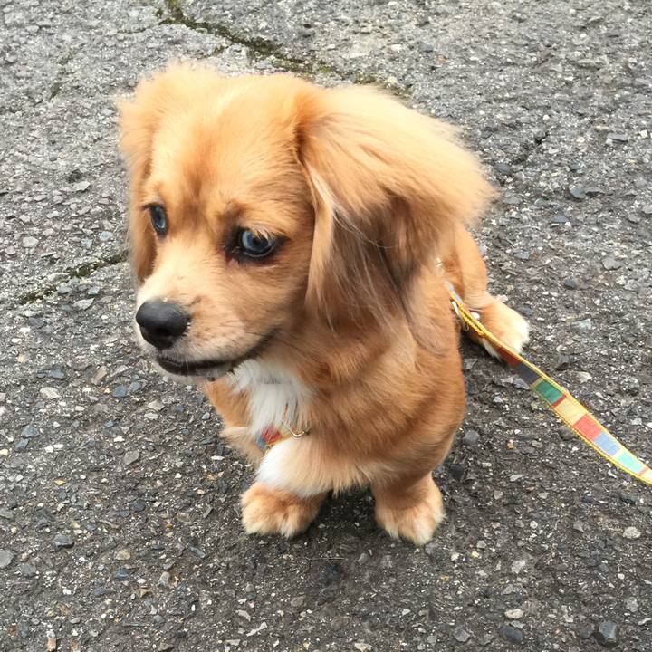 Bb70e131 b6af 4a1e ad8d 6cb814185b17