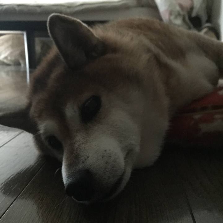 Bb70f58b b451 4d02 b365 1d21e0175bb0