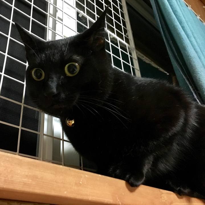 Bb7295fb 84b7 402e bdc3 798ac8040092