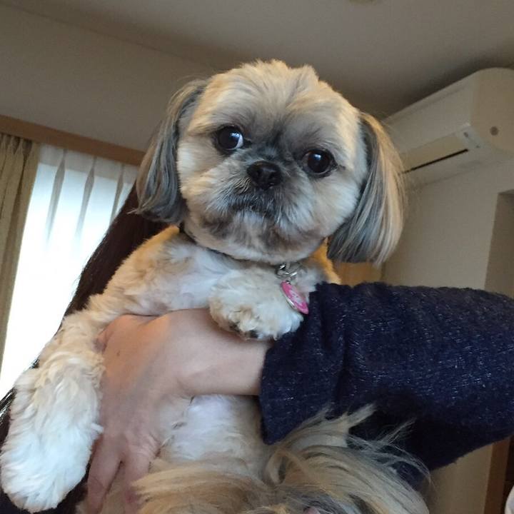 Bb72cc74 dade 4960 aed1 3683c13d33bc