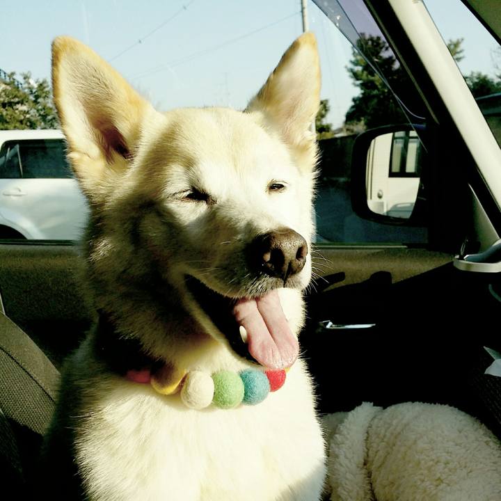 Bb72d663 0036 49b8 91a8 85ca6aabeae1