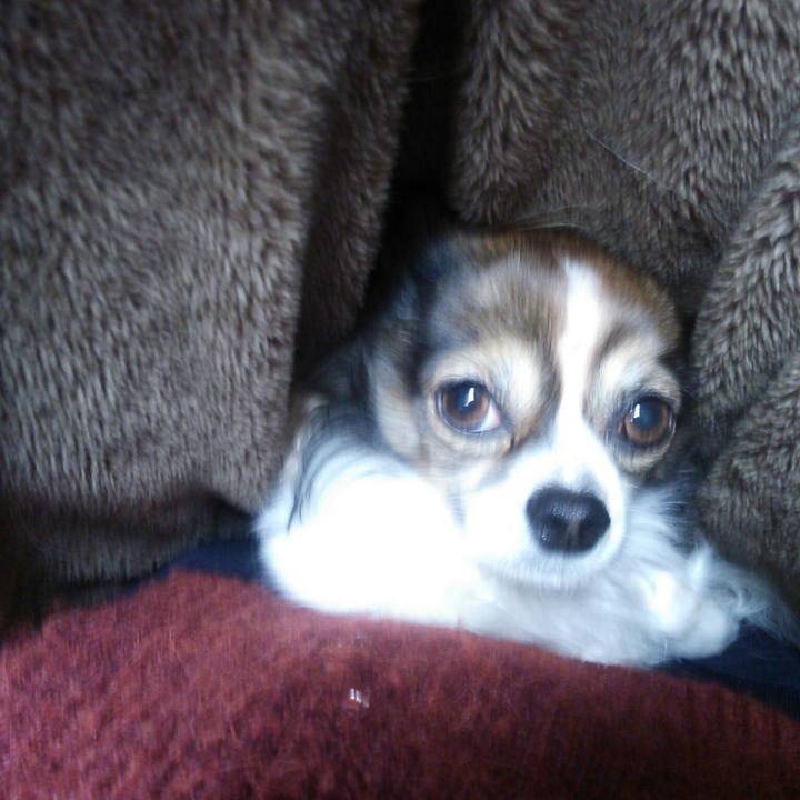 Bb72daaf c6ab 4df8 8682 e0382eab20fd