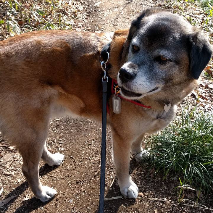 Bb72dcd4 20ce 47bd 836b 55248b10d337