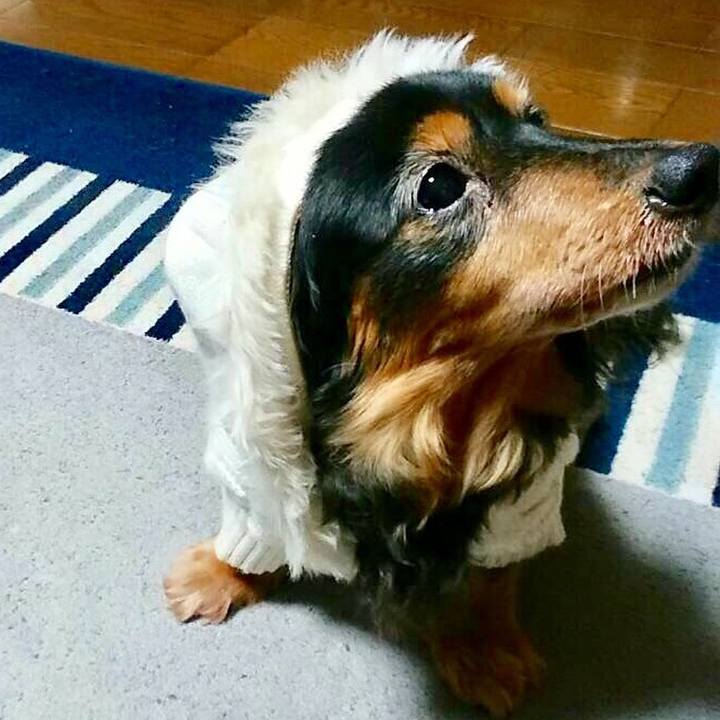 Bb737767 da8e 43a6 8d46 7e291c2920e3