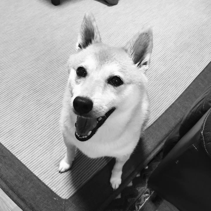 Bb737ba9 01cf 40a1 a703 9361444d2afe