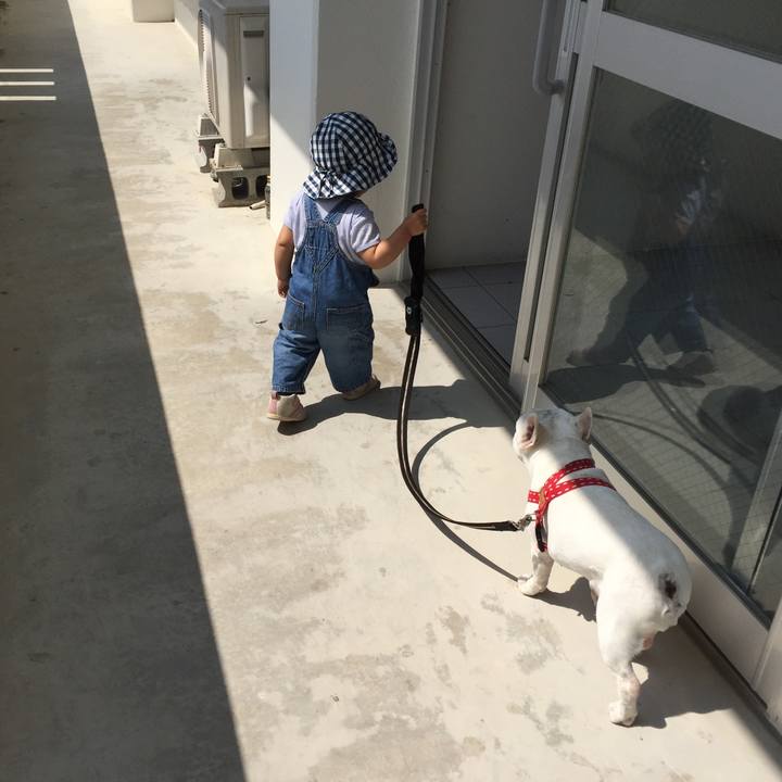 Bb74089f 462a 4365 955e 2028f15a9896