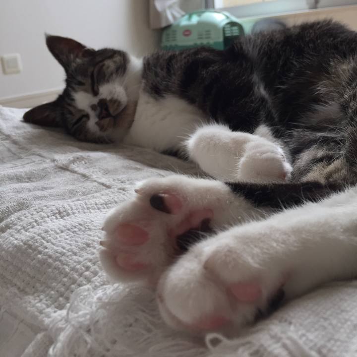 Bb741559 8e4a 4beb 8c33 d2ad3b4771b4