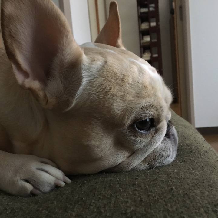 Bb74171b 7297 4505 8887 1e9ec665e8d2