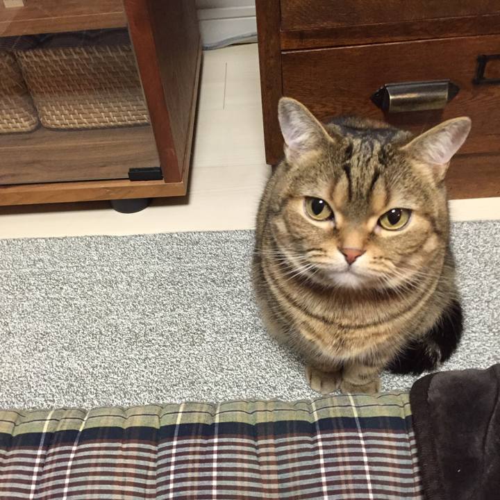 Bb7491bf 0cfd 4cb4 985f b9708a46d3e3