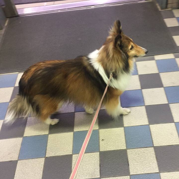 Bb749a3d 441c 4b4d b1a9 5d08fba74d80