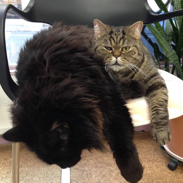 Bb749c5a 0232 4e27 a777 2348f7a06462