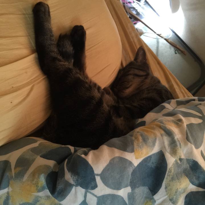 Bb74d1d4 6e99 4c79 8ca0 ab35f91bb8df