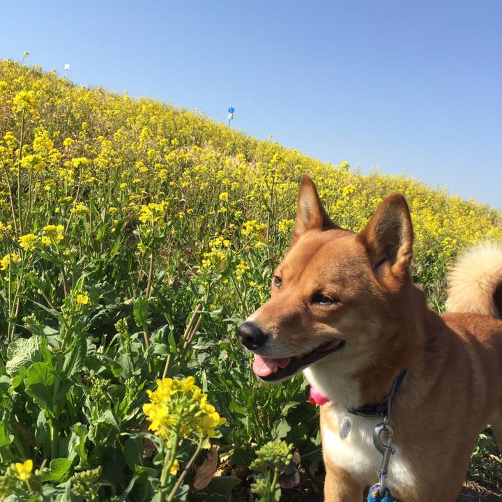 Bb750673 8c54 4766 8ab2 14fec78fb867