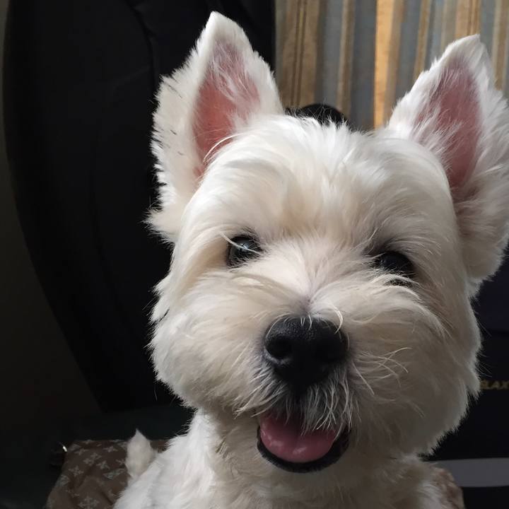 Bb7547d2 4a7b 411e 8cd0 d5ad1b84df45