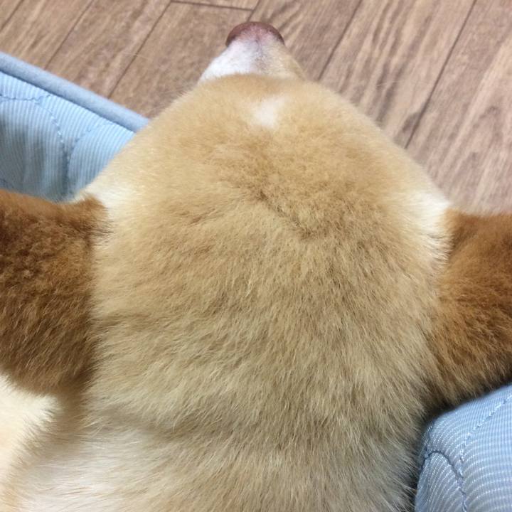 Bb757abe 43f1 4341 ac77 43af662b09af