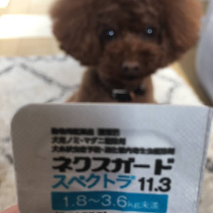 Bb75c993 8f96 4298 b36e 1c1f15eba3c6