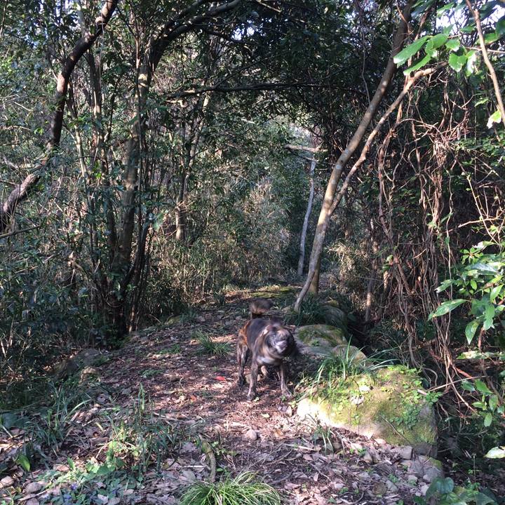 Bb767837 5a8b 41d1 a00f 15233be28351