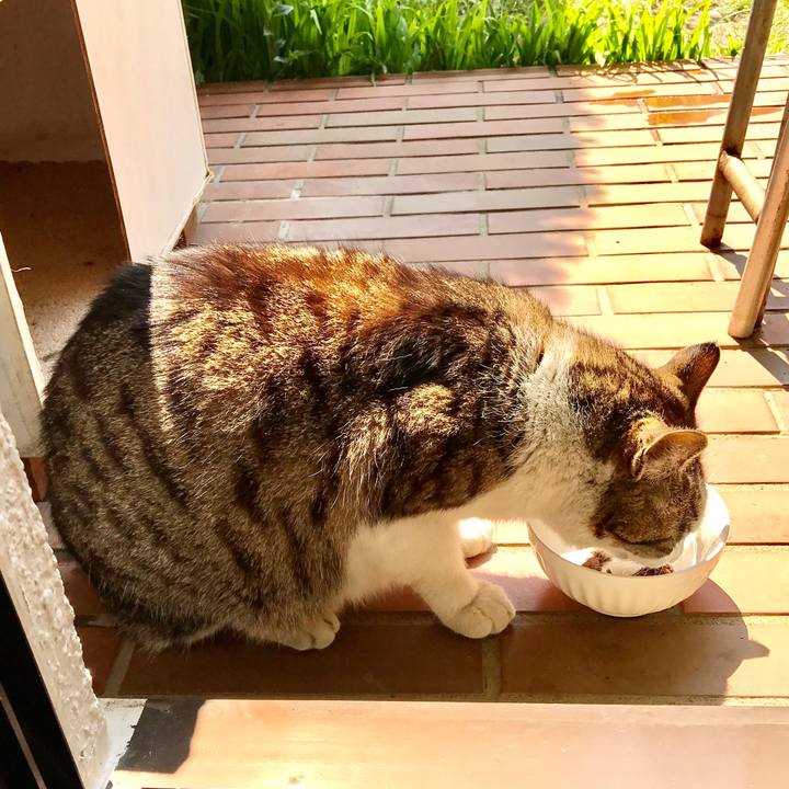 Bb770eb0 6ec8 4208 b636 b7cfe0df0a93