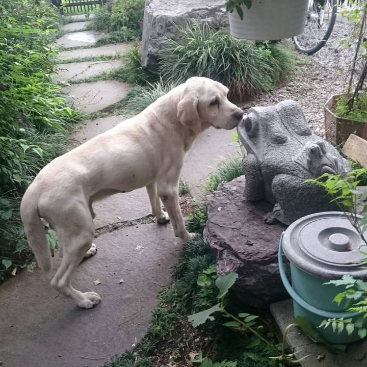 Bb773574 e2f1 4ed1 a80a 9be4e66dcd2e