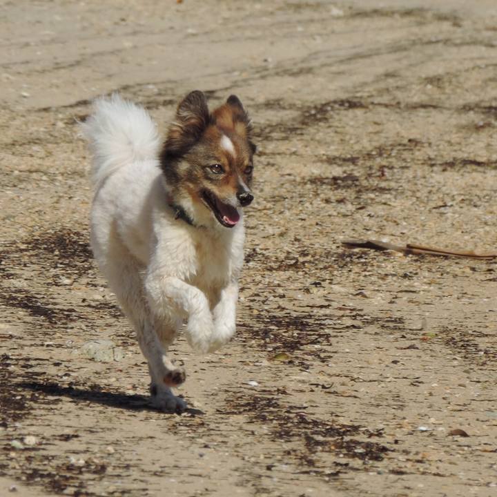 Bb7760d7 d6e0 4201 97a2 569690e31c23