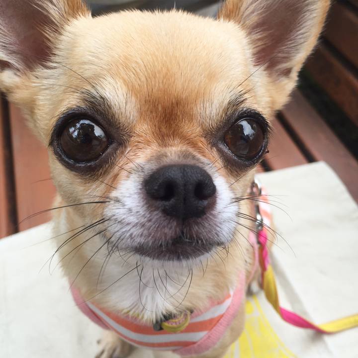 Bb77a074 234d 4098 8451 21d5a66af1b4