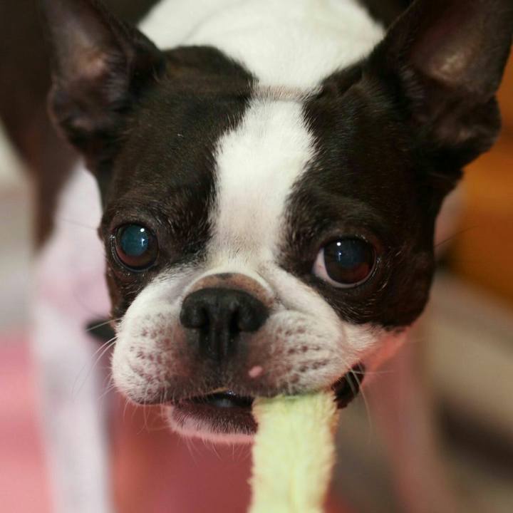 Bb77bf13 a358 4ff0 be59 68477840f4f9