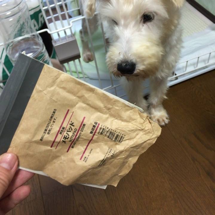 Bb77f886 5e8b 4d88 b42f d225f8545a79