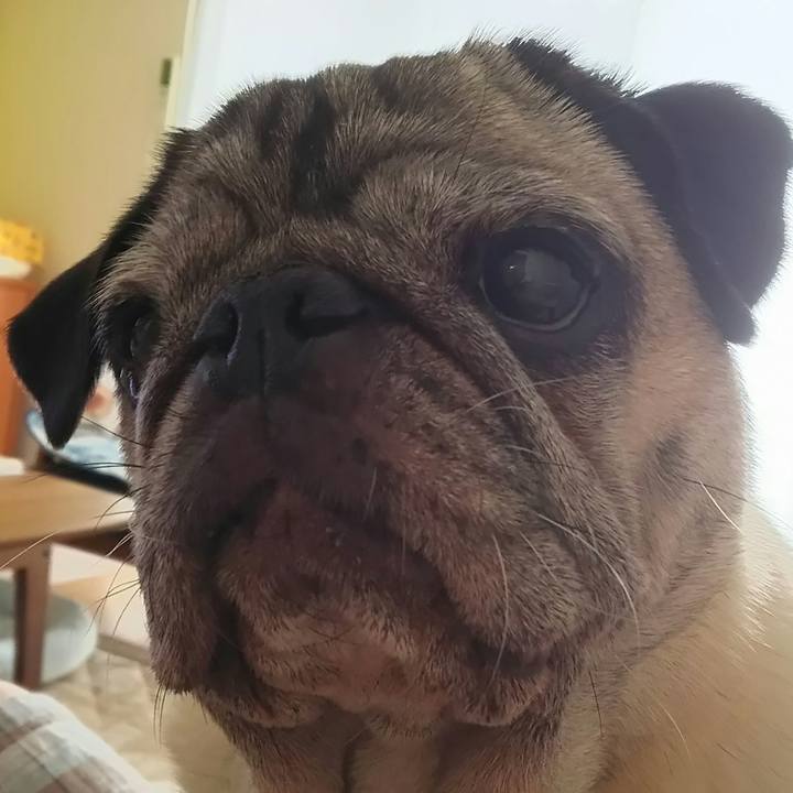 Bb786a32 b82e 4309 8751 824aa5bf2f23