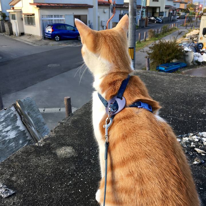 Bb789ed1 6fbd 452d aea4 25fff4d0a3de