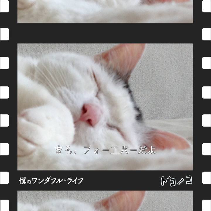 Bb78a7ea d182 4220 95f0 e4c230180443