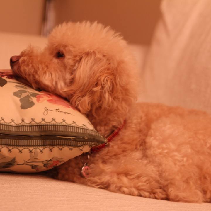 Bb79460e a793 401b 9921 69143903f3d5