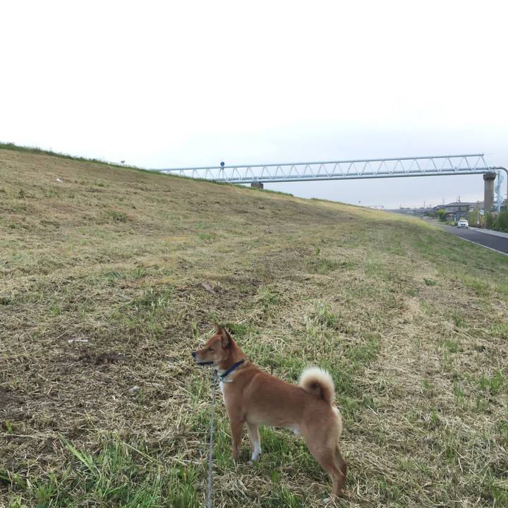 Bb796856 764a 4cbf 96ab 8a1550217886