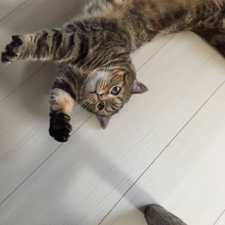 Bb7975d7 4012 42fc b117 52528b858d36