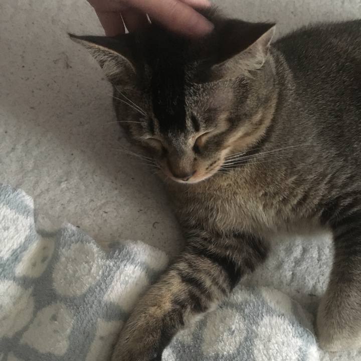 Bb798a0c 6d74 455c b749 f7cc9198848d