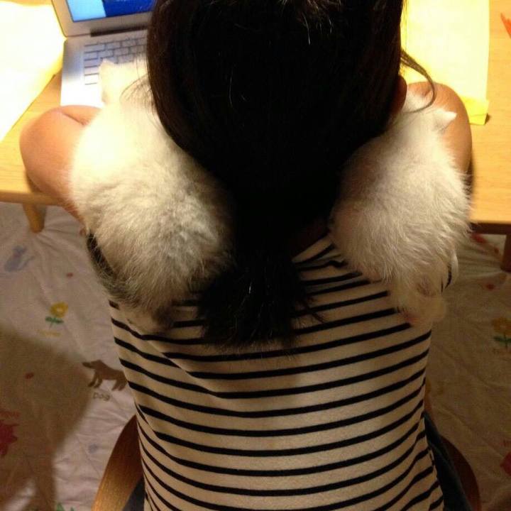 Bb7b0410 85cd 447a bdbd b784164e2c7c