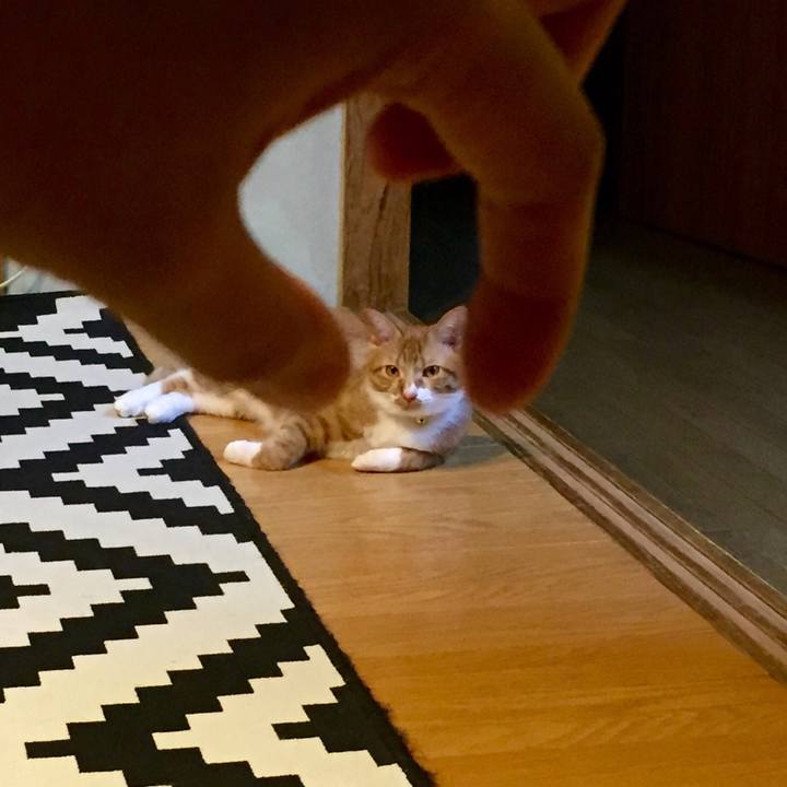 Bb7b37ef 5f21 492b 988f d10e44d1bf12