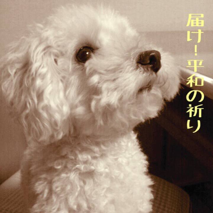 Bb7b817e bd27 4e93 b906 d42aedb2494a