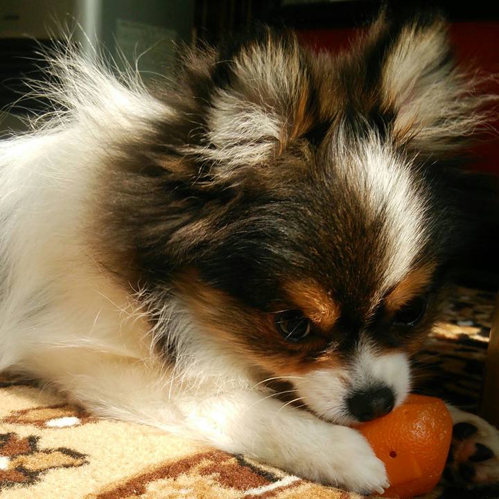 Bb7c3445 59ef 46cd b216 43fa9ea88c4c