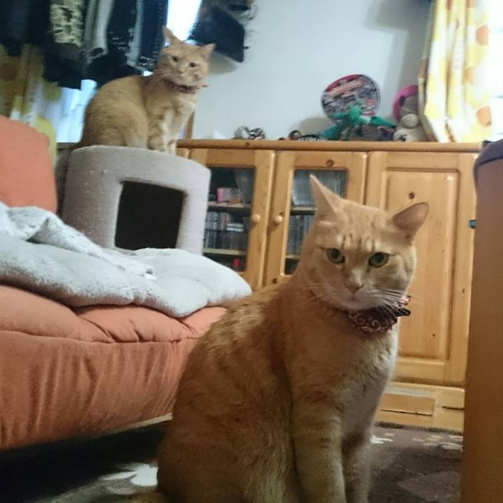 Bb7c62e1 4105 40a8 aa9c a626bbf4ba21