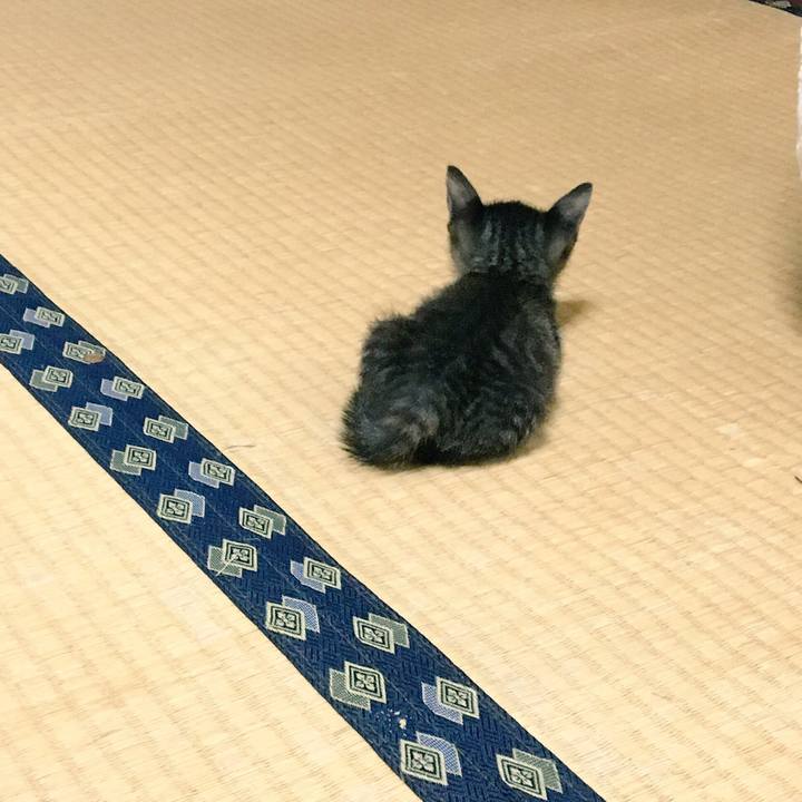 Bb7c6e96 7791 41df 8c93 c1aef36ea51a