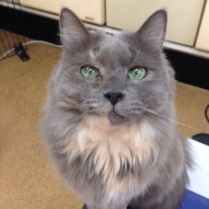 Bb7c7f2b 24ee 4deb 96fc 84467fd3c92a