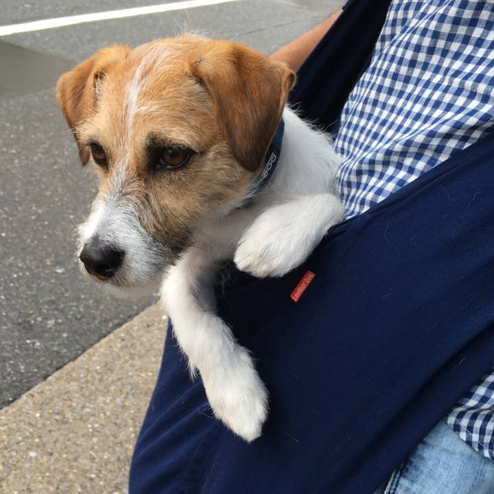 Bb7c8866 ef30 4643 bf07 8d4482f5c963