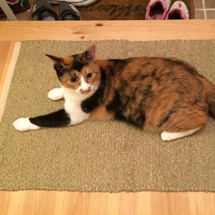 Bb7cfdbb 7ccf 4262 a33f 615d983bf4e9