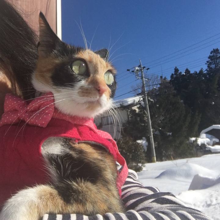 Bb7d9910 6df7 46d2 86a2 df8f40b089cf