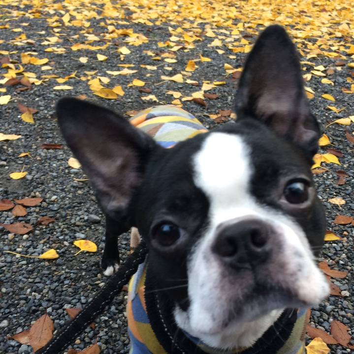 Bb7ffca9 047d 4ed8 b414 17b63930c14b