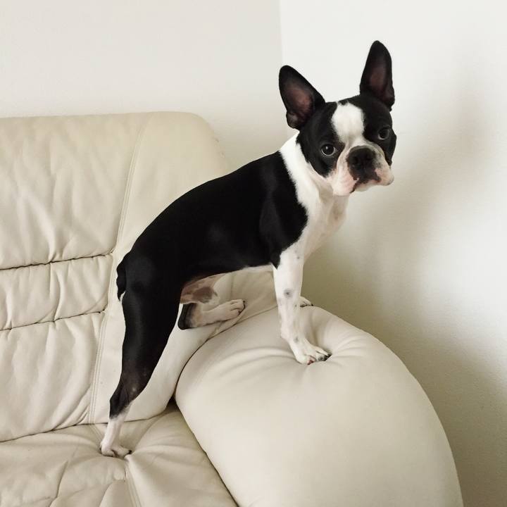 Bb80f157 7661 4e8c b9c7 33895555f70d