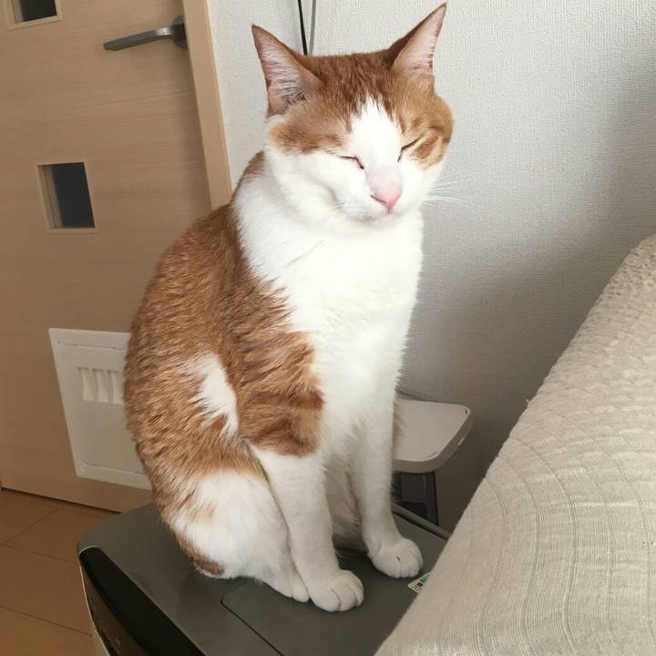 Bb8140a4 8a5c 437e a677 63edfba4abf3