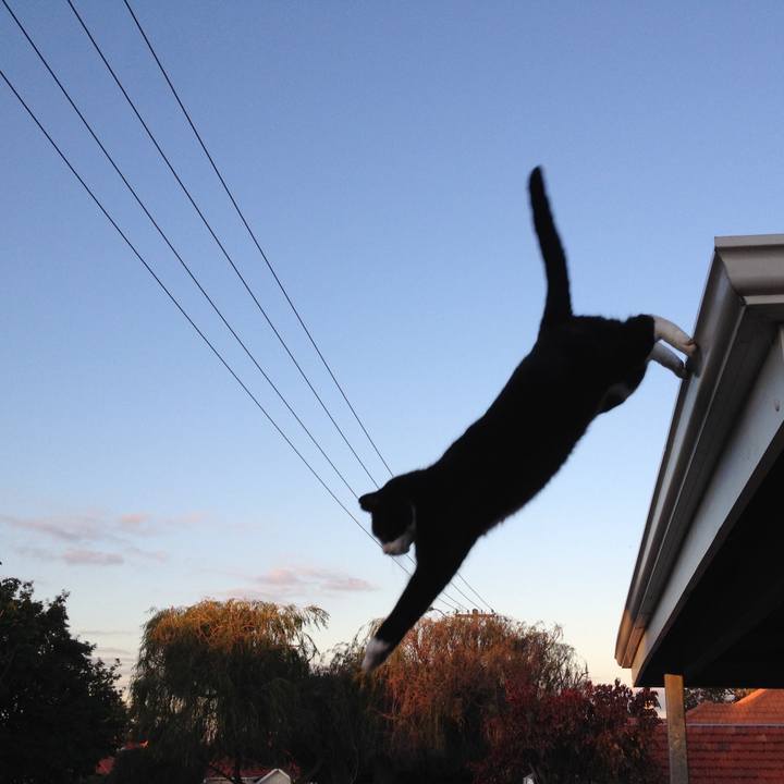 Bb819958 295a 49cb 8424 a865fd2189a6