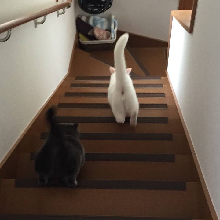 Bb822081 31ed 44a5 a6bf b7452e04914c